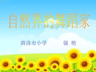 自然界的舞蹈家