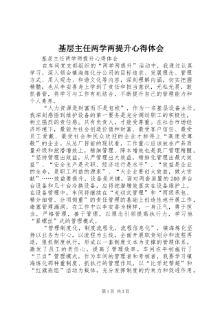 基层主任两学两提升心得体会