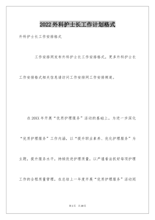 2024外科护士长工作计划格式