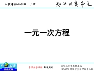 一元一次方程 (3)