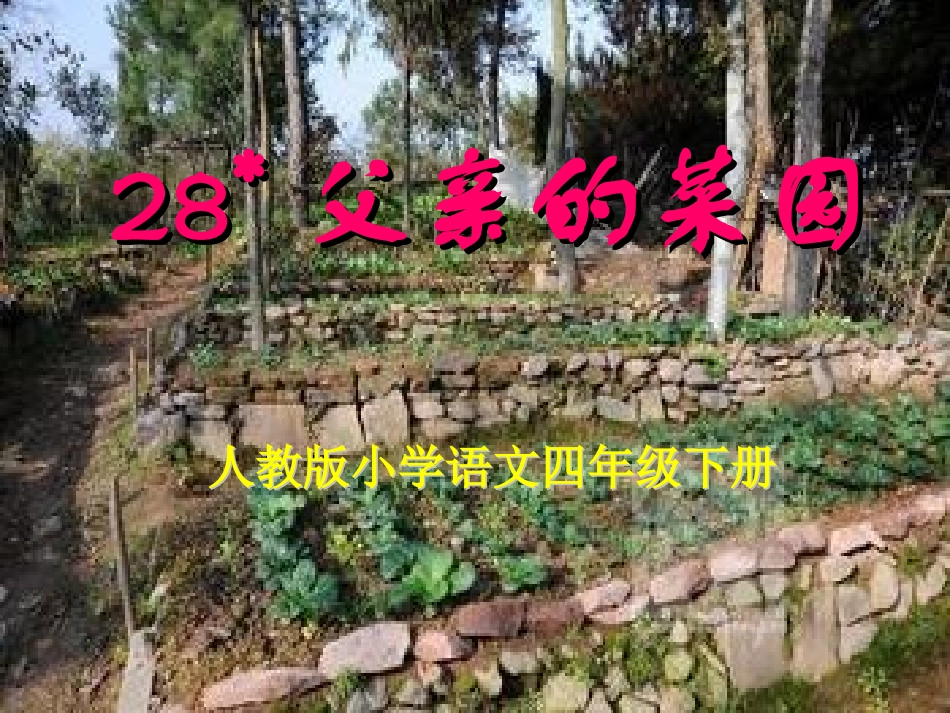 《父亲的菜园》PPT3_第1页