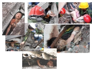 让我们选择坚强