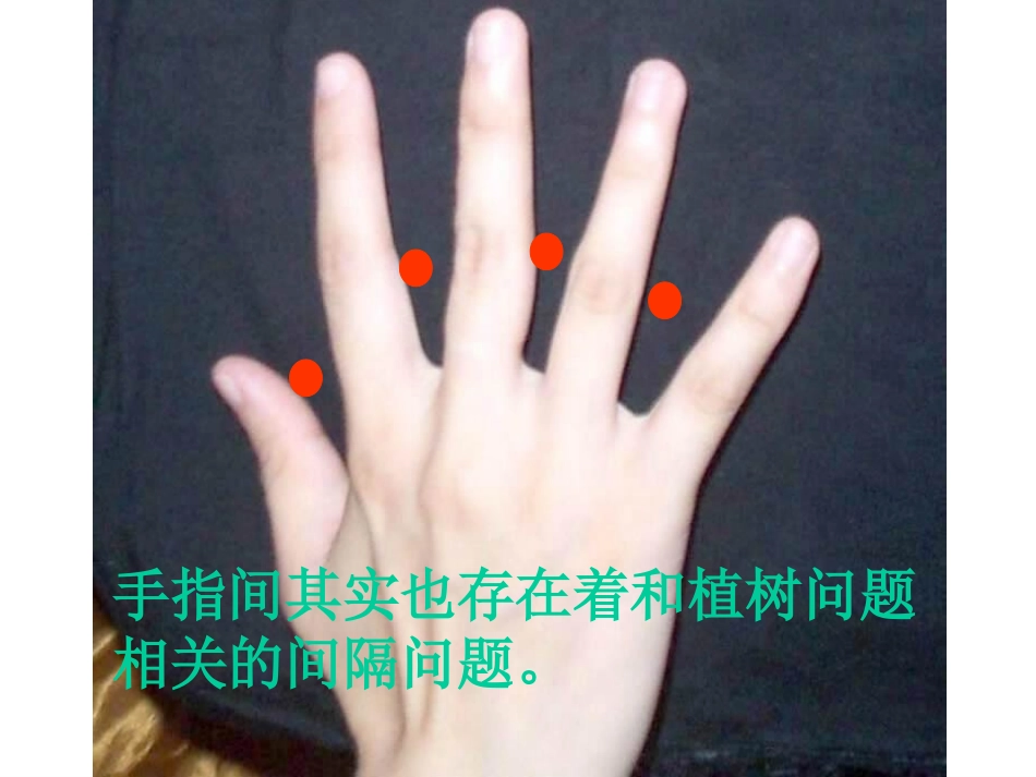 罗善琼第八单元植树问题8_第2页