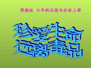 鄂教版品德与社会六年级上册《珍爱生命_远离毒品》PPT课件
