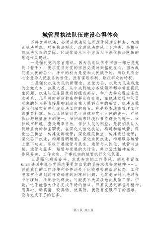 城管局执法队伍建设心得体会