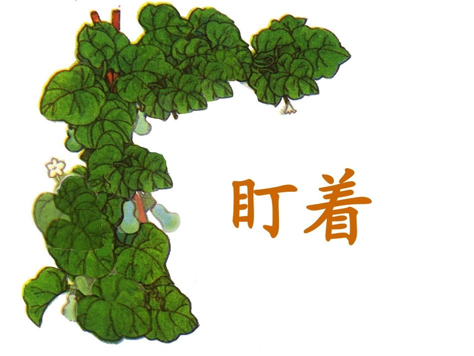 我要的是葫芦课件(新课标人教版二年级上学期语文课件)_第3页