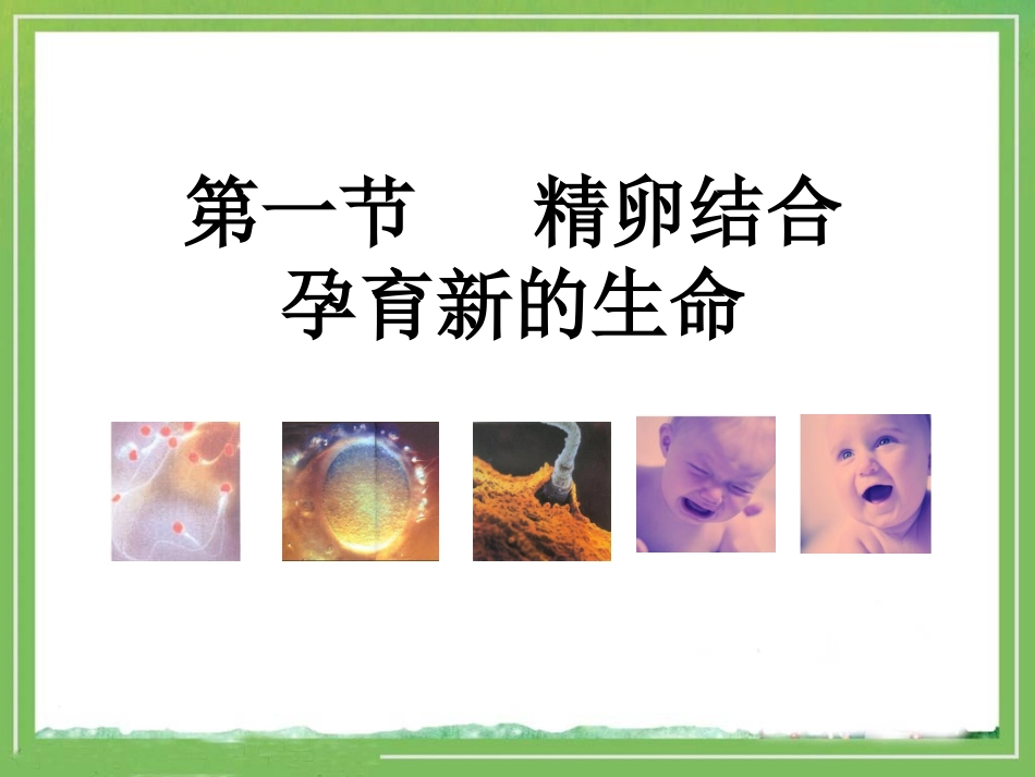 《精卵结合孕育新的生命》教学课件1_第2页