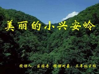 《23美丽的小兴安岭》PPT课件