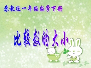 《比较数的大小》