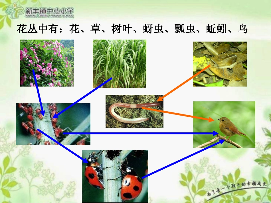 五上15食物链和食物网-鱼_第2页