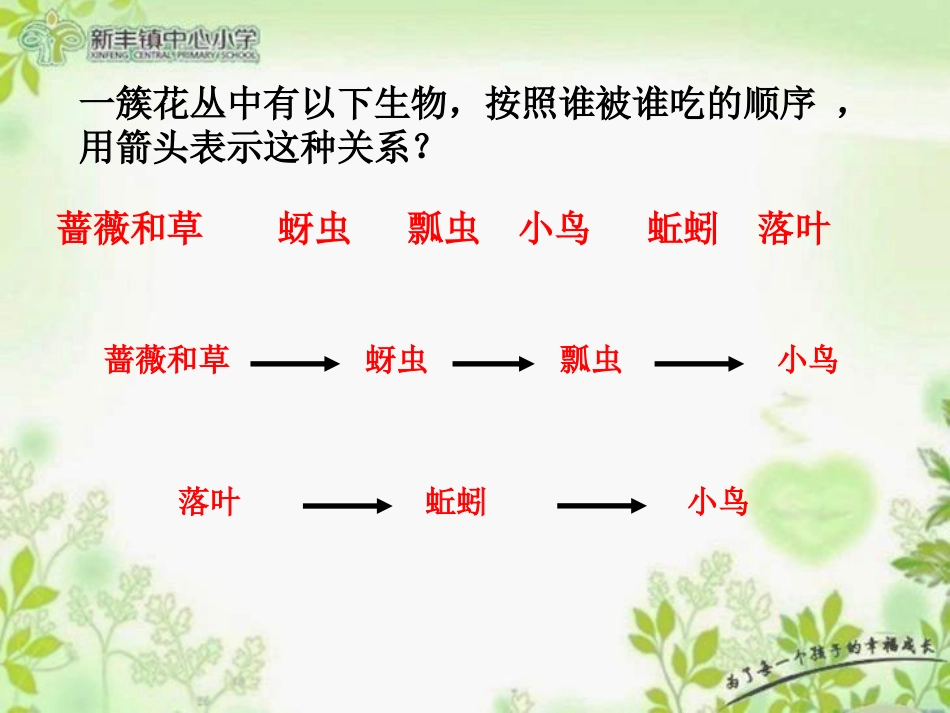 五上15食物链和食物网-鱼_第3页