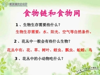 五上15食物链和食物网-鱼