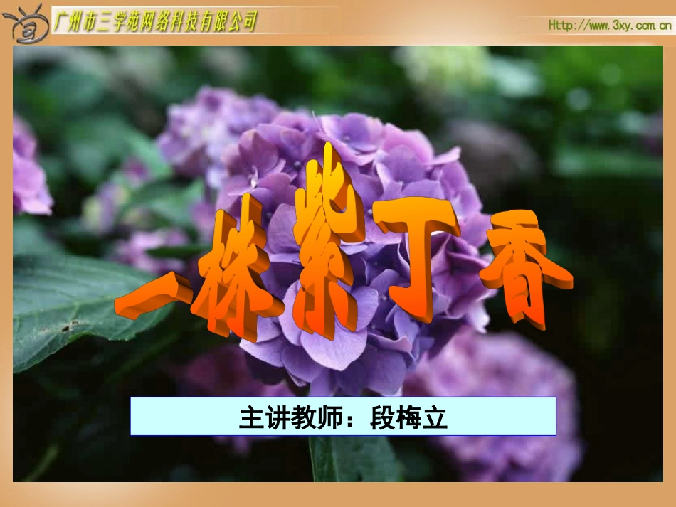 一株紫丁香 (2)_第1页