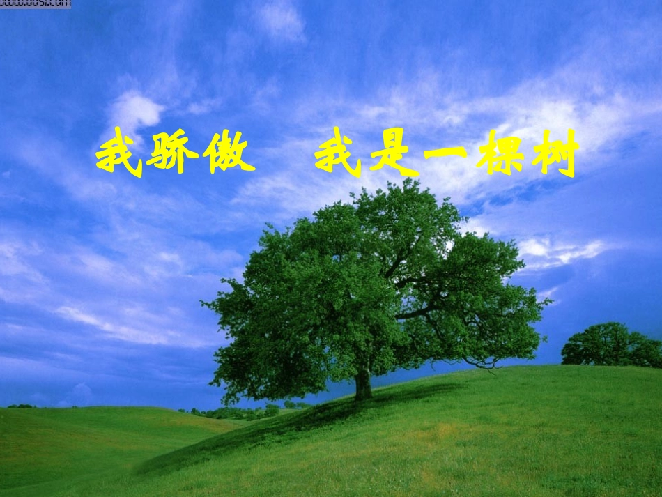 我骄傲，我是一棵树_第1页