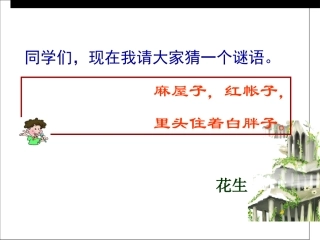 《山谷中的谜底》课件