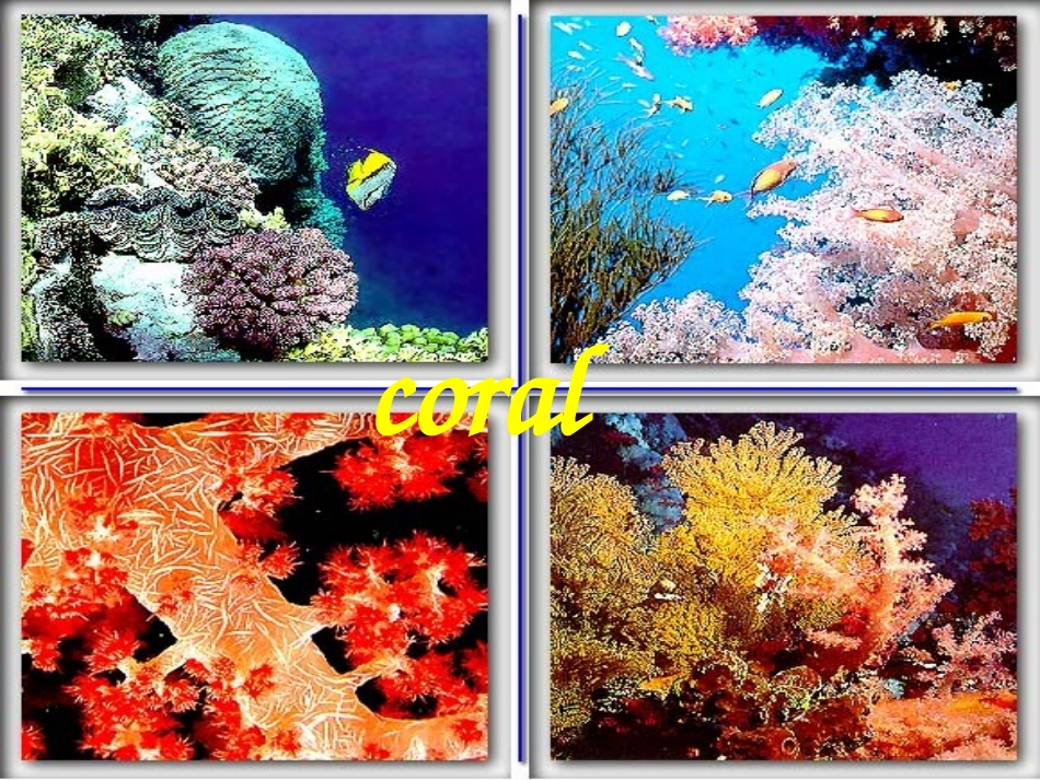 高中英语选修七unit3_第3页