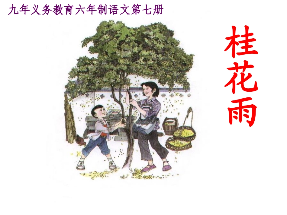 《7桂花雨》课件1（人教版五年级上册）_第1页
