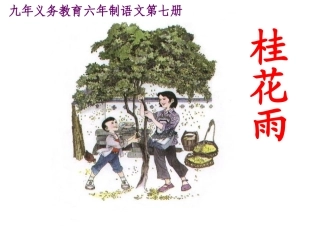 《7桂花雨》课件1（人教版五年级上册）