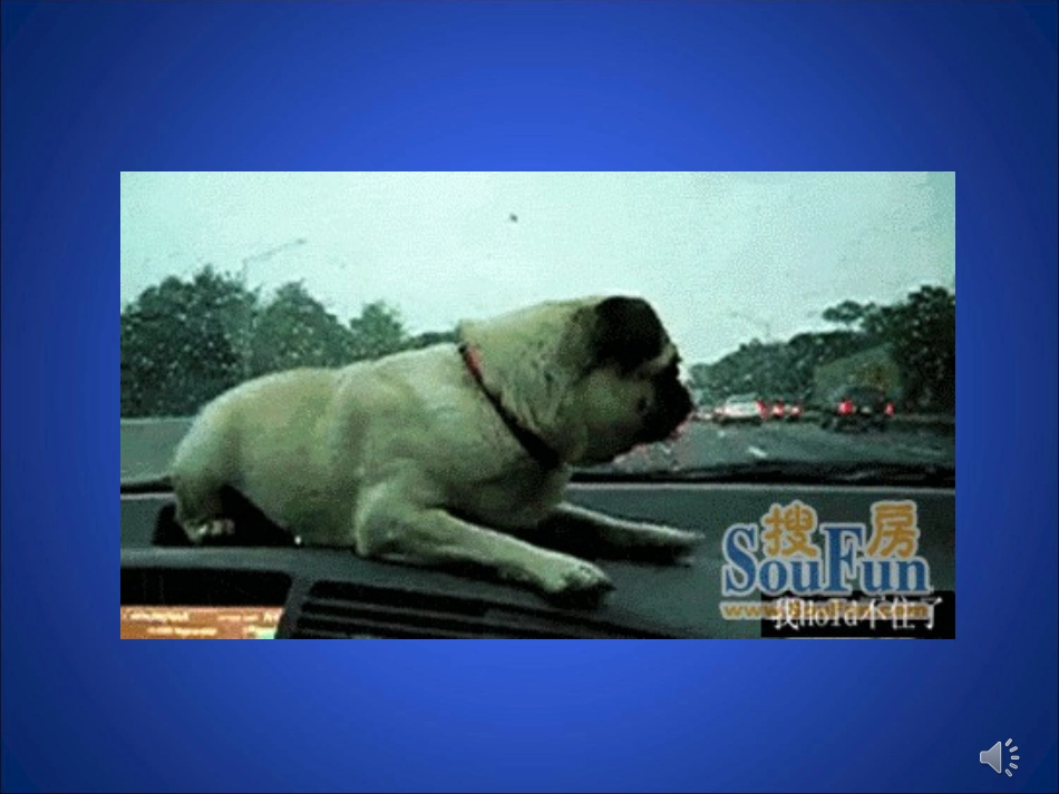 图形旋转的定义与性质课件_第2页