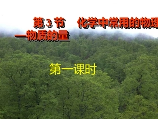 高一化学：化学中常用的物理量—物质的量（新）