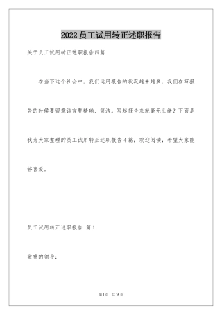 2024员工试用转正述职报告_10