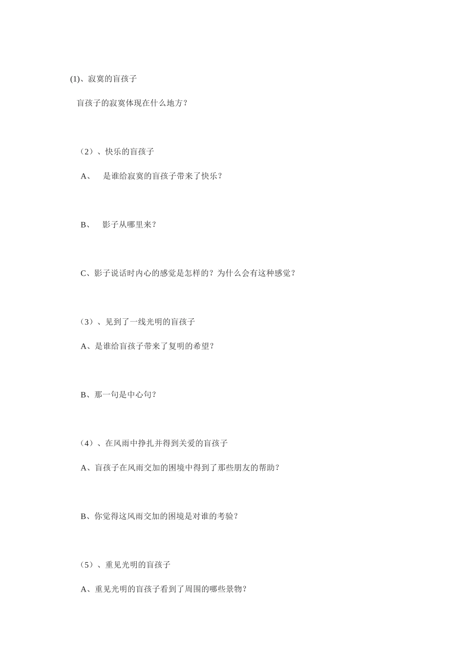 《盲孩子和他的影子》导学案2_第2页