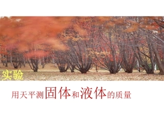 用天平测固体和液体的质量