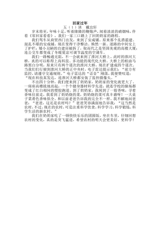 回家过年（戴宜轩）