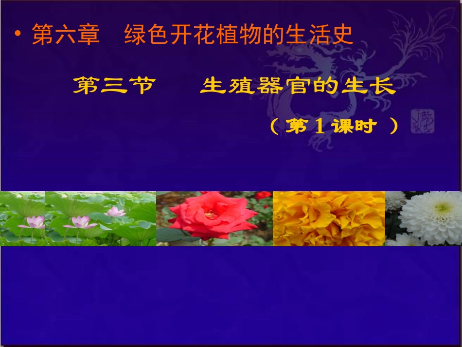 生殖器官的生长_第1页