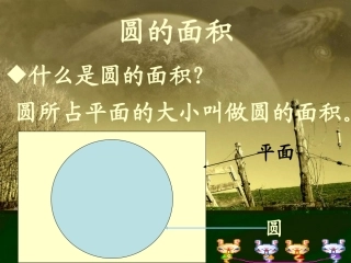 小学数学朱小龙
