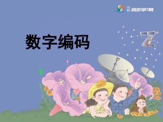 补充内容：《数字编码》