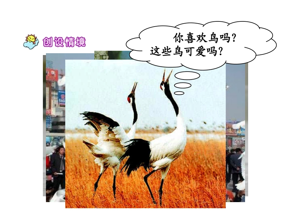 《父亲和鸟》课件 (2)_第2页