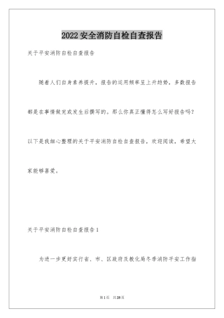2024安全消防自检自查报告