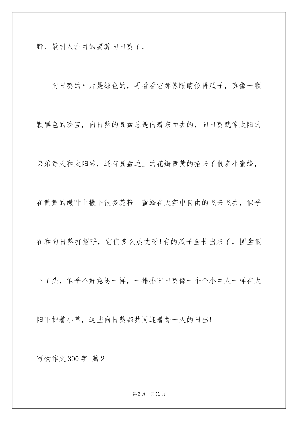 2024写物作文300字_273_第2页