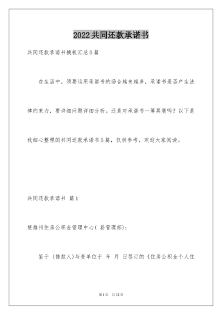 2024共同还款承诺书_54