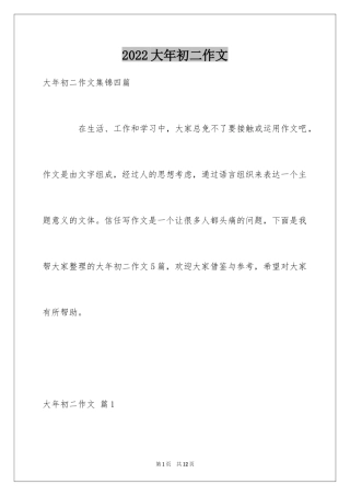 2024大年初二作文_95