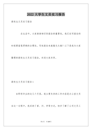 2024大学生文员实习报告_13