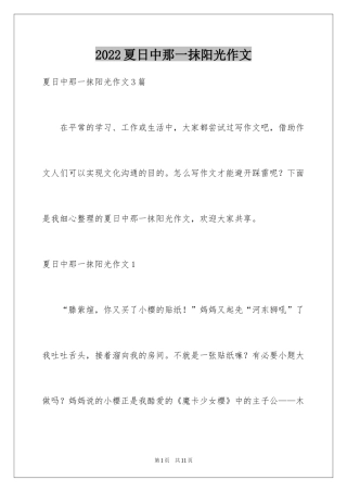 2024夏日中那一抹阳光作文