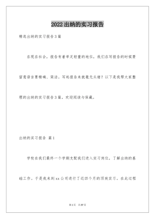 2024出纳的实习报告_85