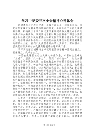 学习中纪委三次全会精神心得体会
