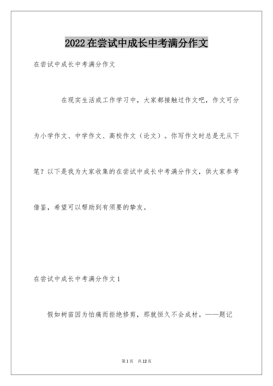 2024在尝试中成长中考满分作文_第1页