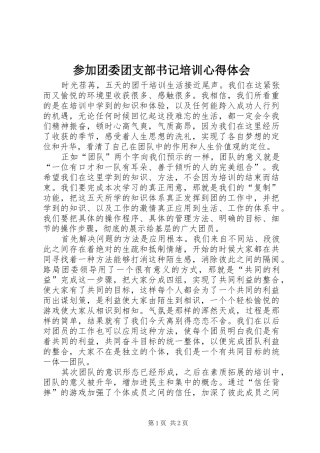 参加团委团支部书记培训心得体会