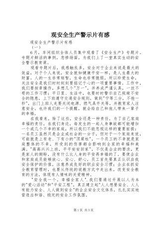 观安全生产警示片有感