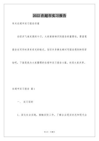 2024在超市实习报告_46