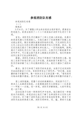 参观消防队有感