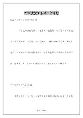 2024党支部下半工作计划_1