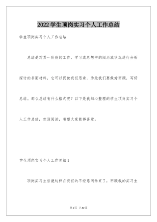 2024学生顶岗实习个人工作总结_2