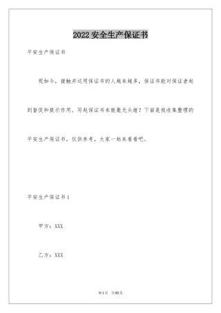 2024安全生产保证书_22