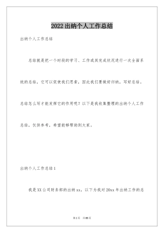 2024出纳个人工作总结