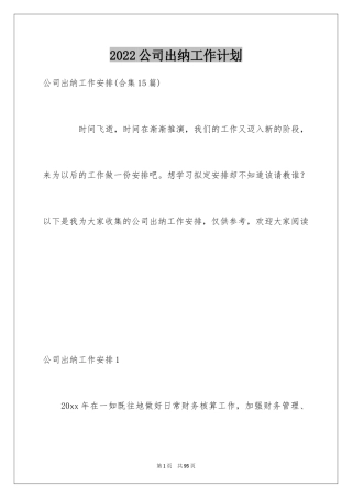 2024公司出纳工作计划_4